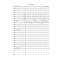 吹奏楽譜　カルメンよりハバネラ　作曲／ビゼー　編曲／高　昌帥（2008年１月発売）
