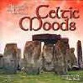 CD　CELTIC MOODS(CD-Rです。) 