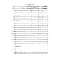 吹奏楽譜　カルメンより「ジプシーの踊り」　作曲／ビゼー　編曲／高　昌帥（2008年１月発売）