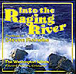 画像1: CD INTO THE RAGING RIVER　S,ライニキー作品集